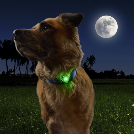Nite Ize NiteDog™ Rechargeable Pet Light világító kiegészítő kutyára