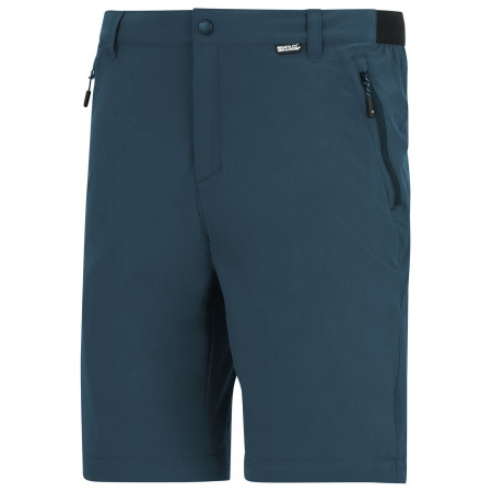 Regatta Anti-Insect Travel Light Z/O Trousers férfi nadrág