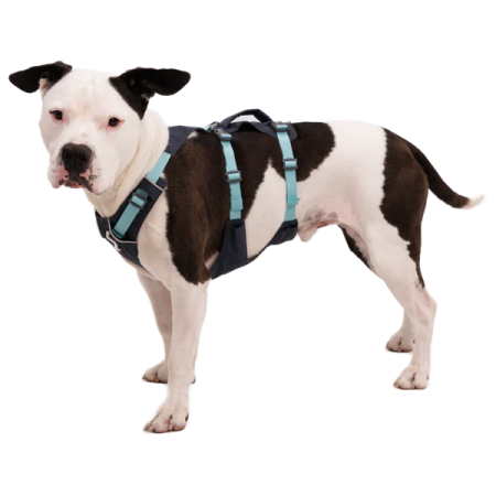 Ruffwear Flagline™ Harness kutyahám
