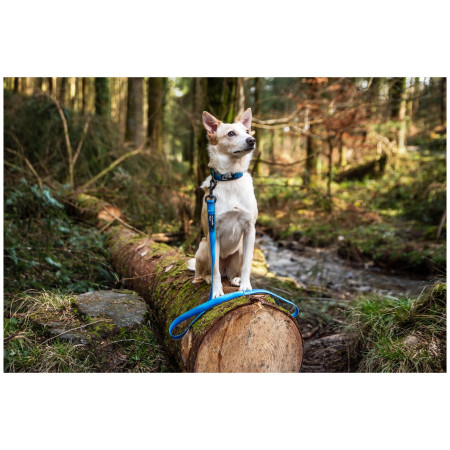 Mountain Paws Waterproof Dog Lead kutyapóráz