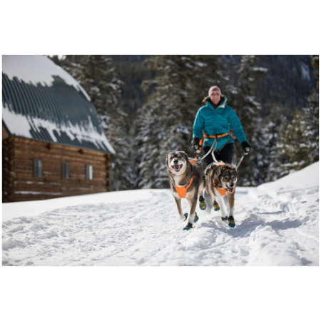 Ruffwear Omnijore Joring System kutyahám
