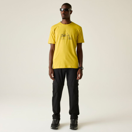Dare 2b Movement III Tee férfi póló