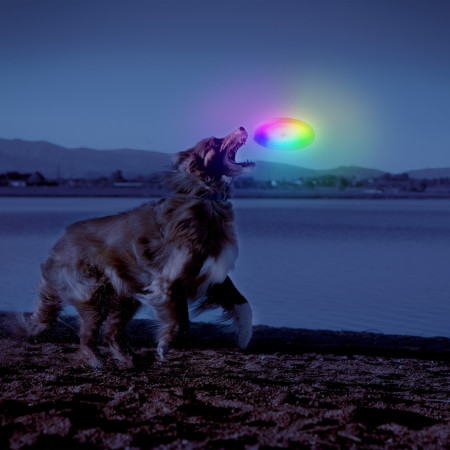 Nite Ize Flashflight® Dog Discuit™ LED Flying Disc játékszer kutyáknak