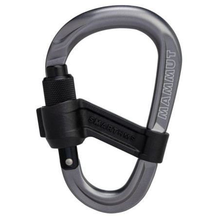 Mammut Smart HMS 2.0 Screwgate Carabiner karabiner szürke