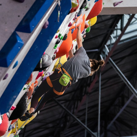 YY VERTICAL Chalk Bag Animals ziazsák