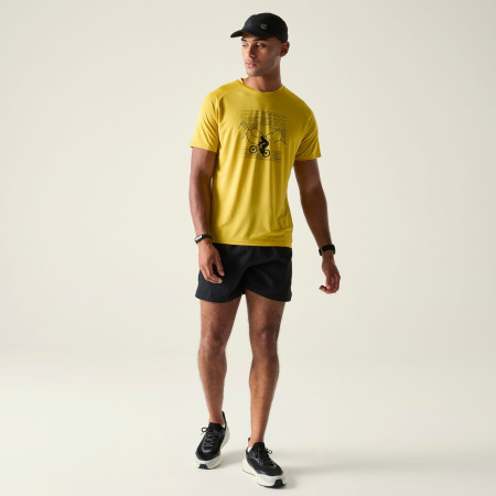 Dare 2b Tech II Tee férfi póló