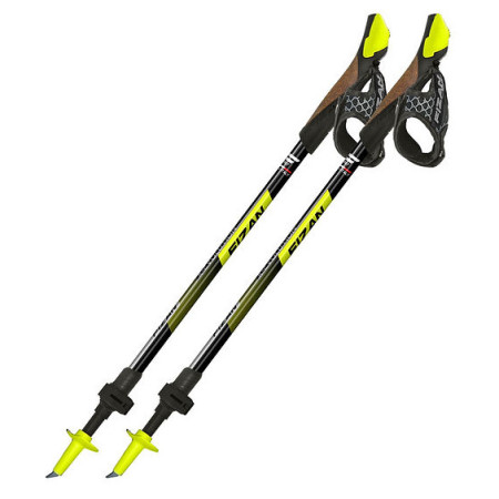 Fizan R-Evolution nordic walking túrabot