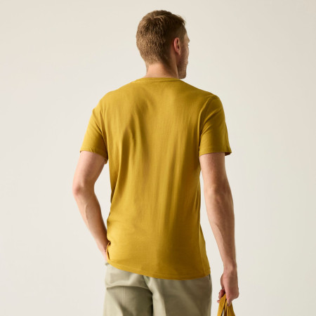 Regatta Breezed férfi póló