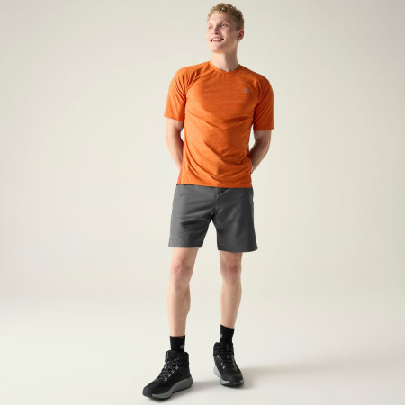 Dare 2b Torrek II Short férfi rövidnadrág