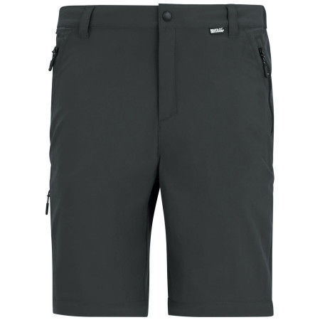 Regatta Anti-Insect Travel Light Z/O Trousers férfi nadrág