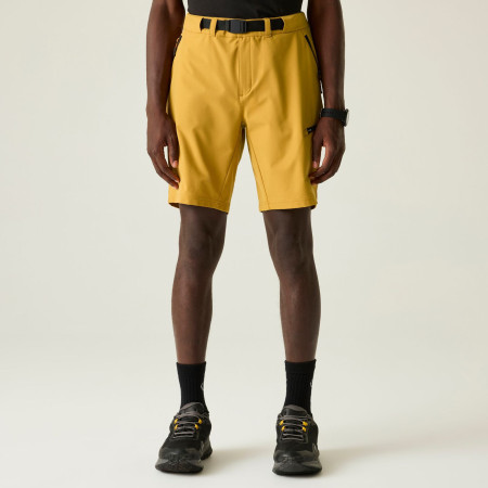 Dare 2b Tuned In Pro II Short férfi rövidnadrág