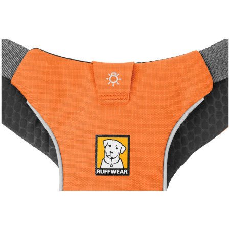 Ruffwear Omnijore Joring System kutyahám