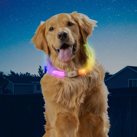 Nite Ize NiteHowl Max LED világító kutyanyakörv