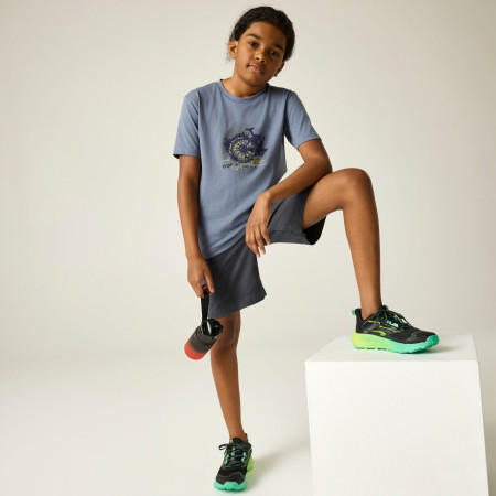 Dare 2b Trailbazer III Tee Mercury gyerek póló