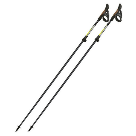 Fizan Tekno nordic walking túrabot