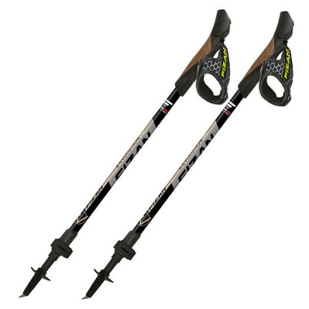 Fizan R-Evolution Pro nordic walking túrabot szürke Grey/Beige