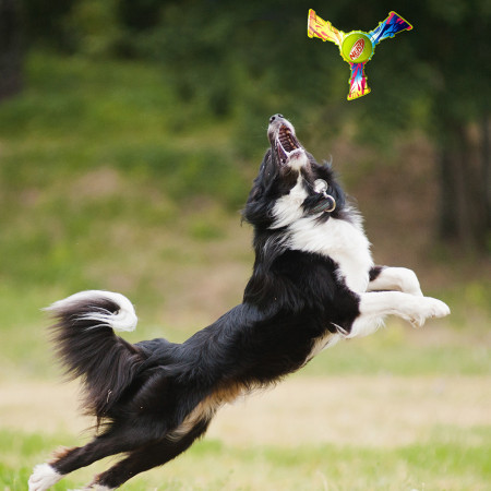 Nerf Dog Color Grip Tri Flyer 20 cm játékszer kutyáknak