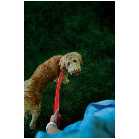 Nite Ize LED NiteDog kutyapóráz