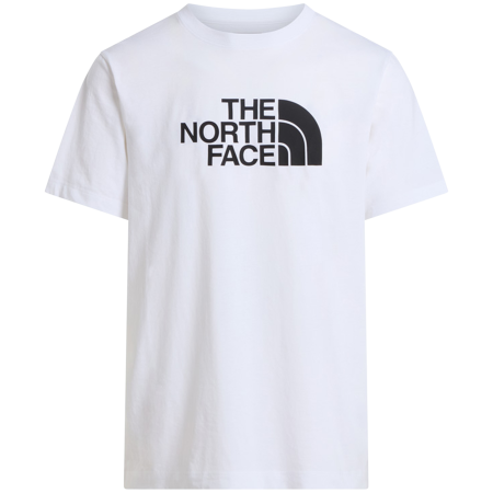 The North Face Evolution Half Dome Regular Short Slee férfi póló