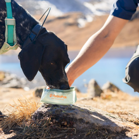 Hydrapak Rover Dog Bowl összecsukható tál