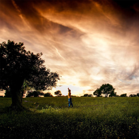 Gibbon Surferline Treewear Set slackline