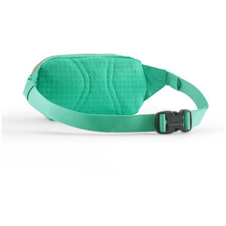Patagonia Terravia Mini Hip Pack övtáska
