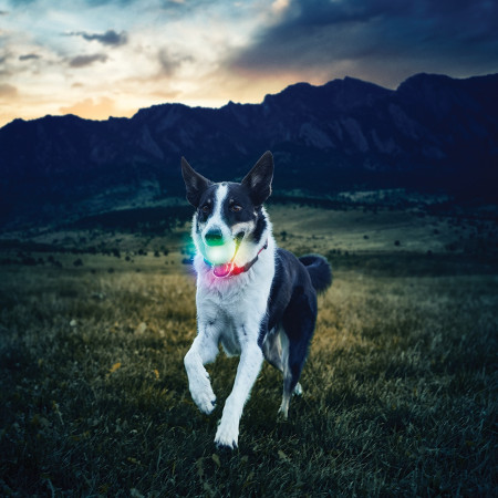 Nite Ize Glowstreak LED Ball játékszer kutyáknak