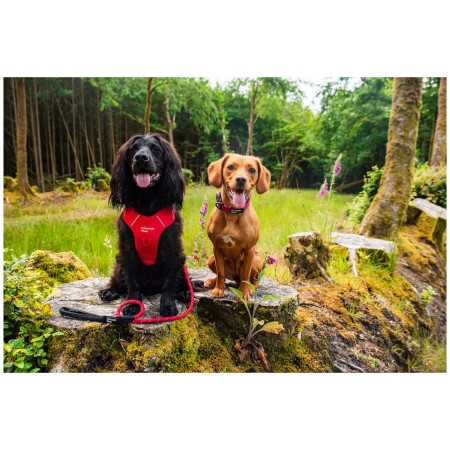 Mountain Paws Rope Dog Lead kutyapóráz