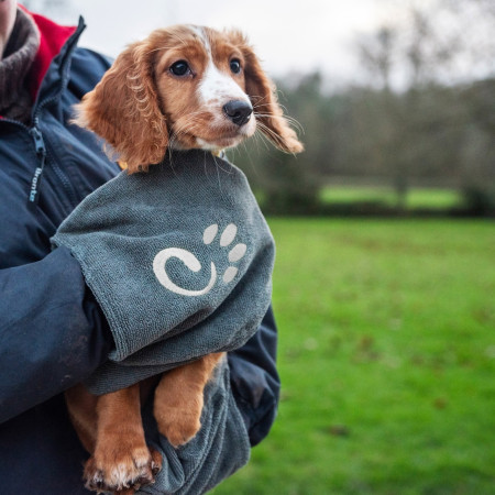 Mountain Paws Muddy Dog Towel kutyatörölköző