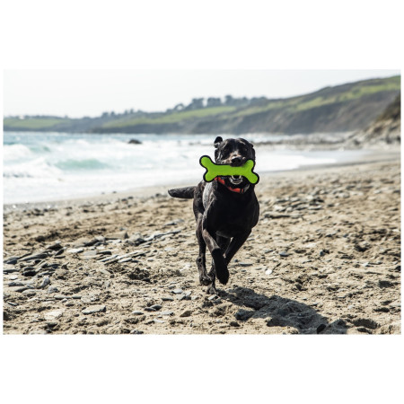 Mountain Paws Rubber Bone Dog Toy játékszer kutyáknak