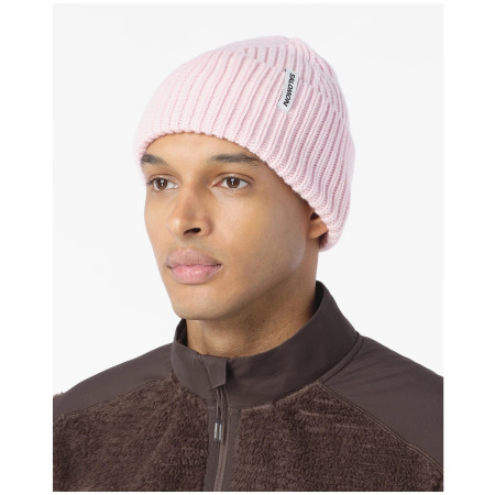 Salomon Snowbird Beanie U sapka