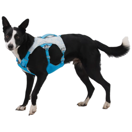 Ruffwear Swamp Cooler Harness kutyahám