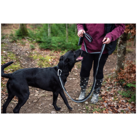 Mountain Paws Shock Absorber Dog Lead ütközéscsillapítós póráz