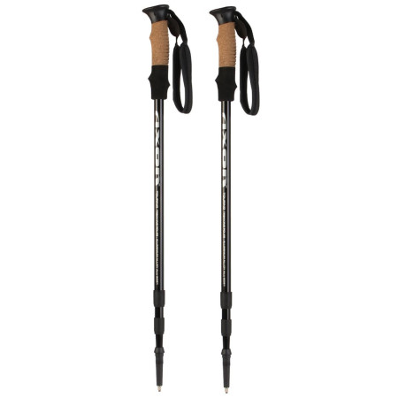 Axon Touring túrabot