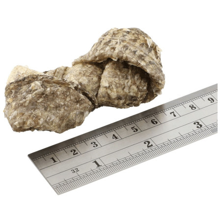 Fish4Dogs Dental Sea Jerky Fish Knots 100g jutalomfalatok kutyáknak