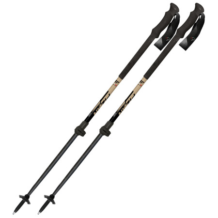 Fizan Aria síalpin túrabot