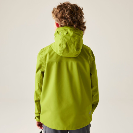 Dare 2b Kids Switch II Jacket GoldnCypress gyerek dzseki