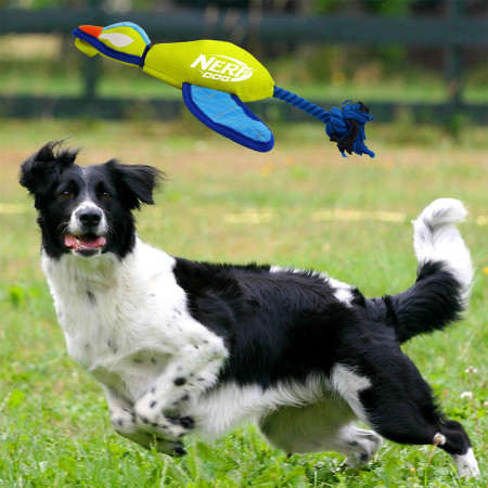 Nerf Dog Launching Duck 42cm játékszer kutyáknak