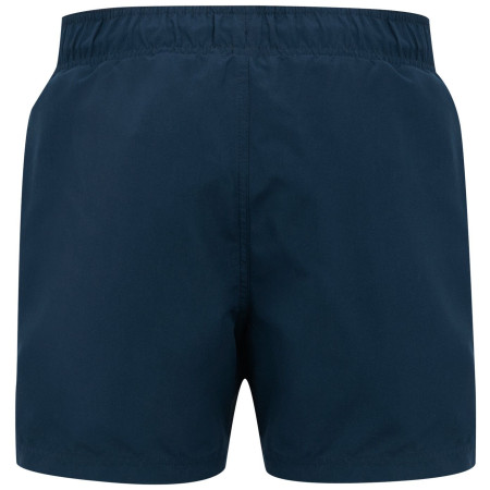 Regatta Mawson Swim Shorts III férfi fürdőnadrág
