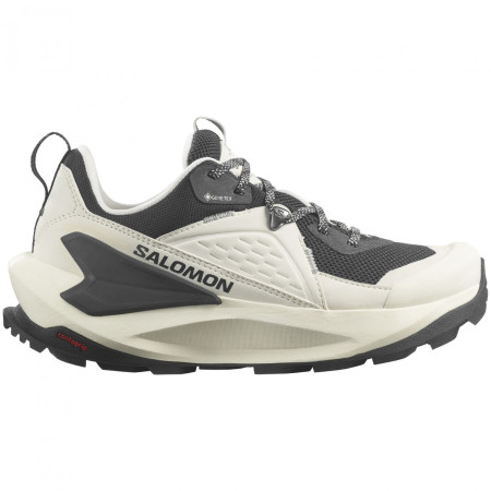 Salomon Elixir Gore-Tex női cipő