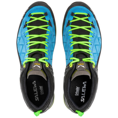 Pánské boty Salewa Ms Mtn Trainer 2 Gtx