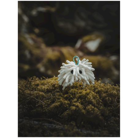 Midnight Lightning Chalktopus ziazsák