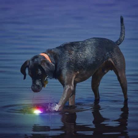 Nite Ize Glowstreak LED Ball játékszer kutyáknak