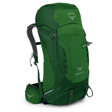 Hátizsák Osprey Kestrel 38 zöld jungle green