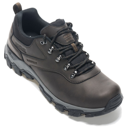 Regatta Holcombe Classic Low férficipő