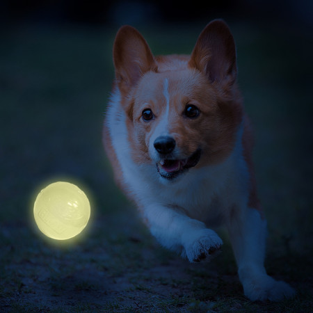 Nerf Dog LED launcher Air Strike játékszer kutyáknak