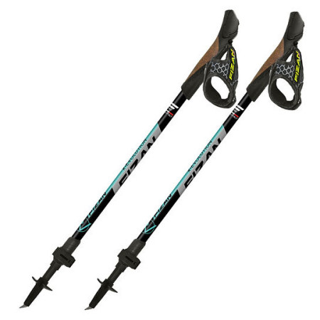 Fizan R-Evolution nordic walking túrabot