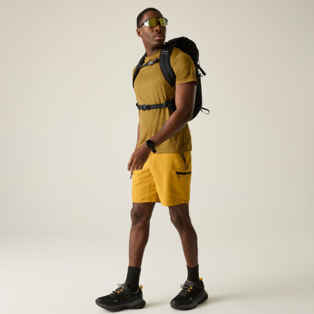 Regatta Fingal Edition férfi póló