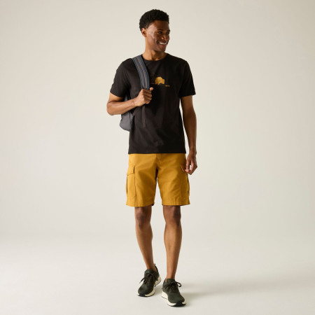 Regatta Cline IX férfi póló