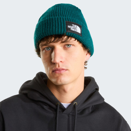 The North Face Salty Lined Beanie sapka